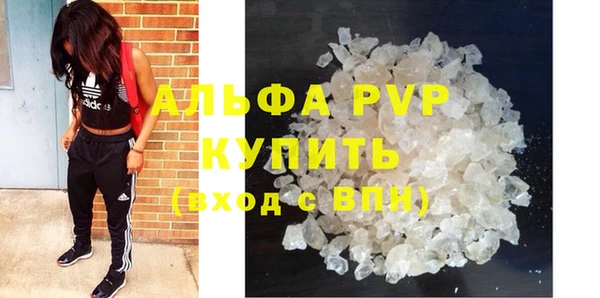 крисы Дмитриев