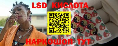 крисы Аргун