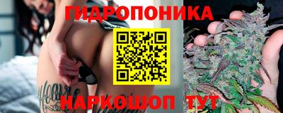 крисы Аргун