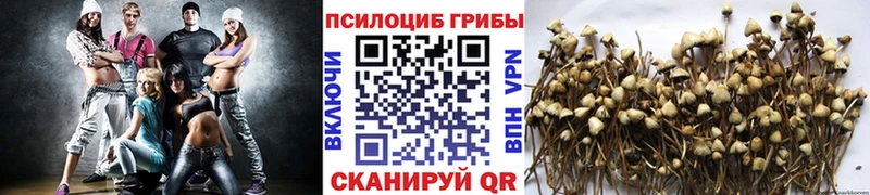 наркота  Усть-Илимск  Галлюциногенные грибы прущие грибы 