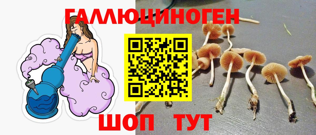 Псилоцибиновые грибы Psilocybe  Вход с VPN  Усть-Илимск 