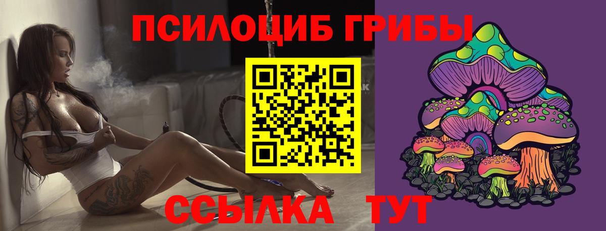 Псилоцибиновые грибы Magic Shrooms  закладки  Псилоцибиновые грибы мухоморы  Усть-Илимск 